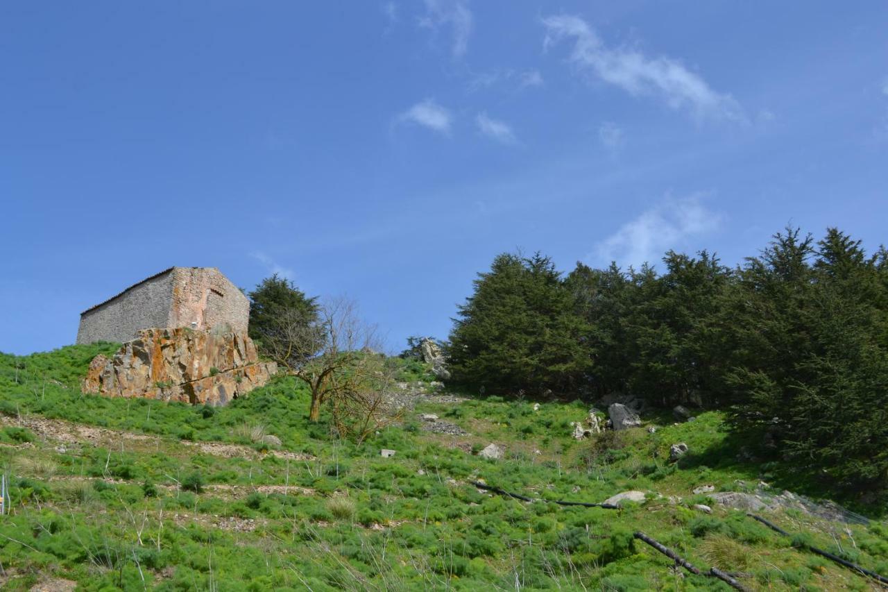 Casa Panoramica Castelverde San Mauro Castelverde Dış mekan fotoğraf